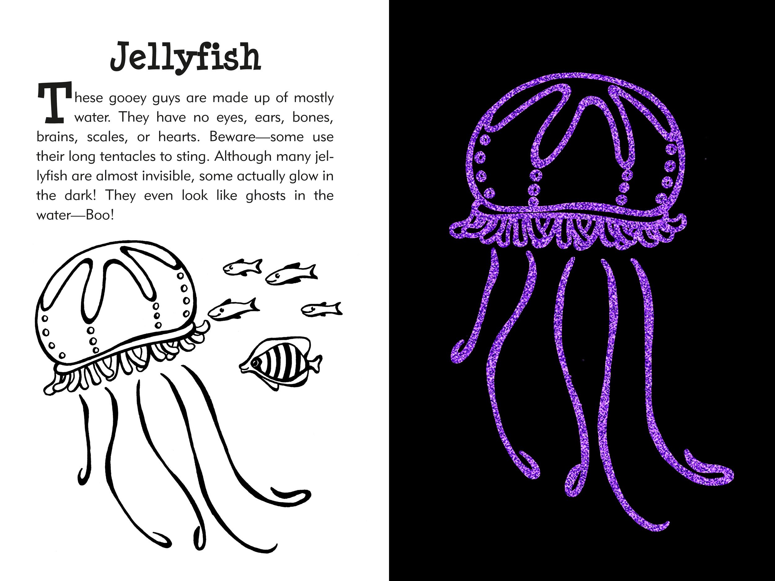 2500x1875 Under The Sea Scratch And Sketch An Art Activity Book For - Under The Sea Sketch