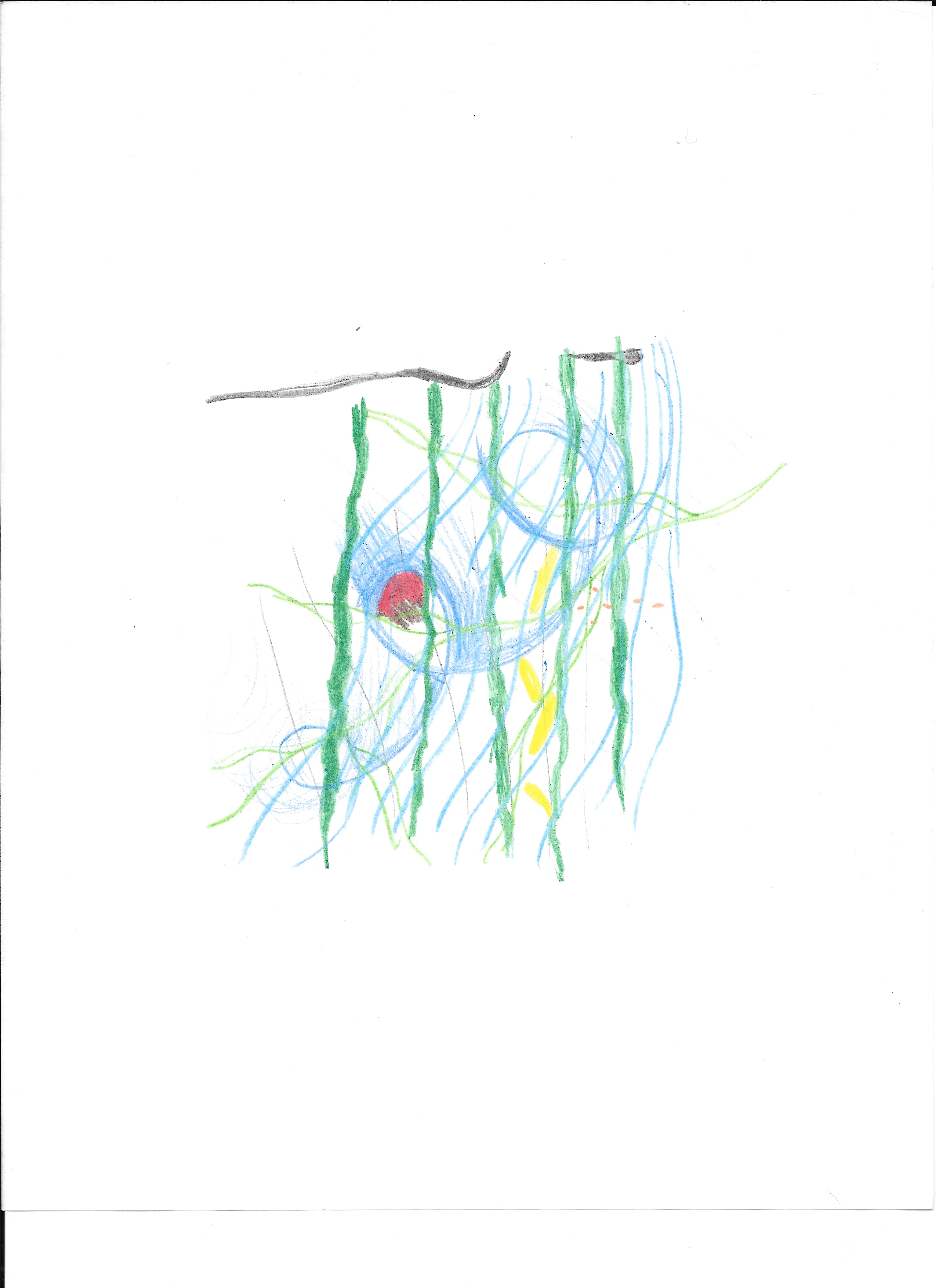 2550x3508 Under Sea Khadeja Ali Draws - Undersea Sketch