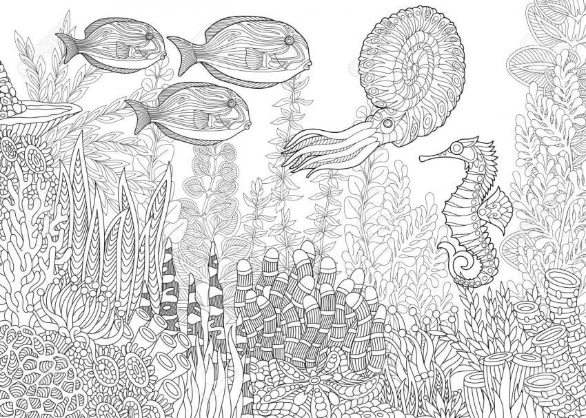 850x607 Creative Cool And Easy Things To Draw Ideas When You Are Bored - Undersea Sketch