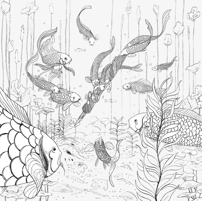 650x647 Sketch Underwater Fish, Fish Clipart, Sketch Fish, Sketch Plants - Underwater Sketch