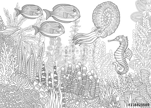 500x357 Stylized Composition Of Tropical Fish, Seahorse, Calamari (Squid - Underwater Sketch