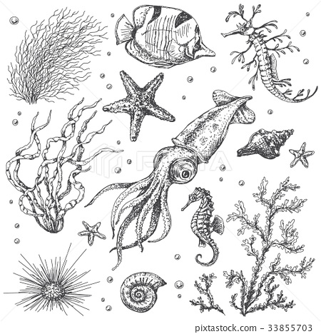 450x468 Underwater Plants And Animals Sketch - Underwater Sketch