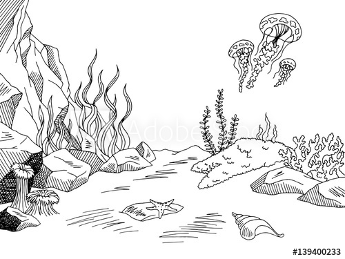 500x375 Underwater Graphic Sea Black White Sketch Illustration Vector - Underwater Sketch