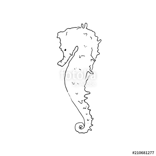 500x500 Underwater Sketch With Seahorse Isolated On White Background - Underwater Sketch