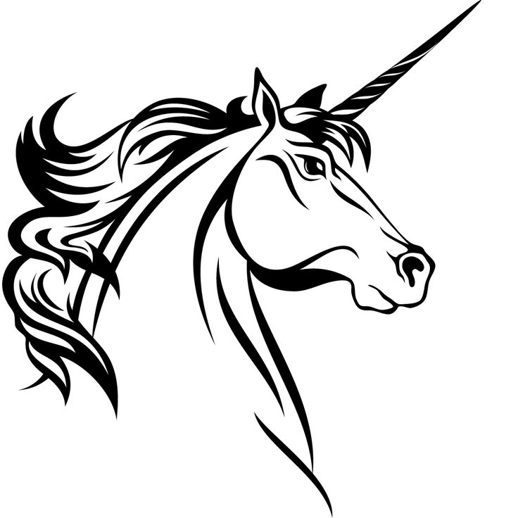 736x736 Drawn Unicorn Face - Unicorn Head Sketch