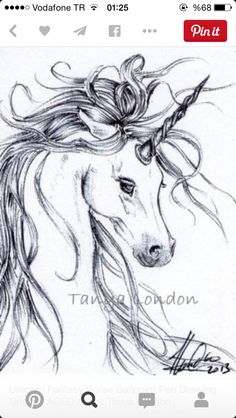 236x418 Realistic Unicorn Drawings Unicorn Drawing In Pencil Gray - Unicorn Head Sketch