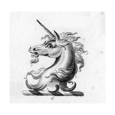 473x473 Stylized Unicorn Head Symbol Poster - Unicorn Head Sketch