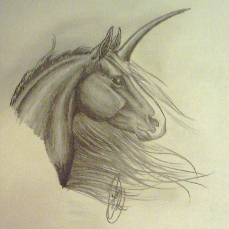 805x804 Unicorn Head By Artistmaz - Unicorn Head Sketch