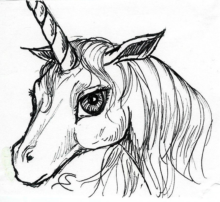 900x826 Unicorn Head By Soniacarreras - Unicorn Head Sketch