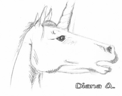 415x327 Unicorn Head Sketch By Dileany - Unicorn Head Sketch