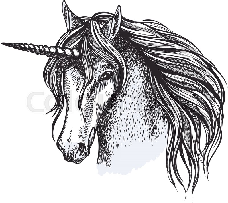 800x711 Unicorn Head Sketch Icon Of Fairy Tale Horse. Vector Magic And - Unicorn Head Sketch