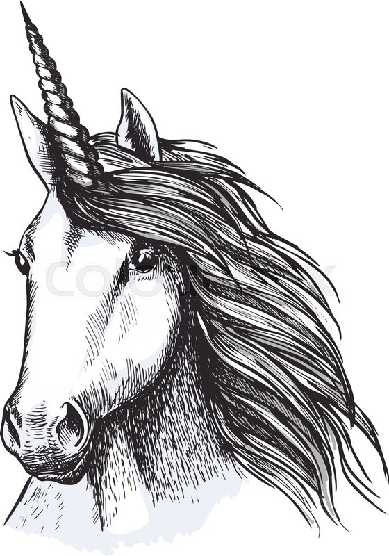 560x800 Unicorn Head Sketch Of Medieval Heraldic Horse Animal With Horn - Unicorn Head Sketch