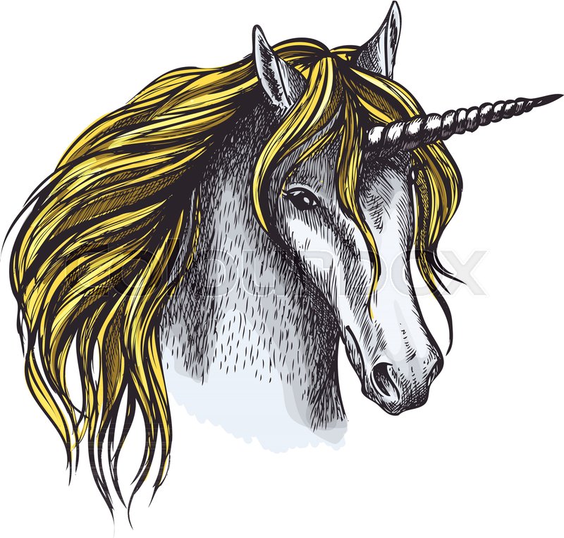 800x762 Unicorn Horse Sketch Of Magic Animal Head With Gold Mane And - Unicorn Head Sketch