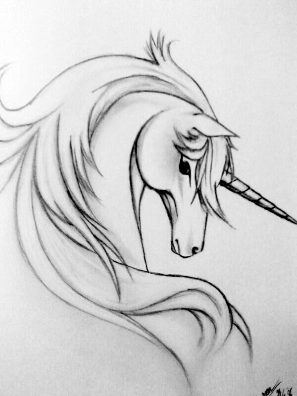 600x800 Unicorn Head Drawing - Unicorn Head Sketch