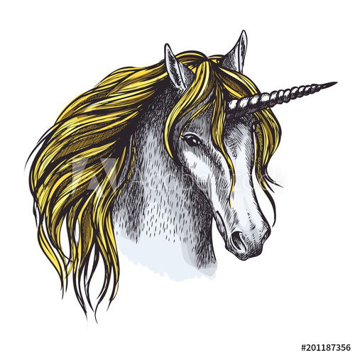 500x500 Unicorn Horse Sketch Of Animal Head With Horn - Unicorn Horn Sketch