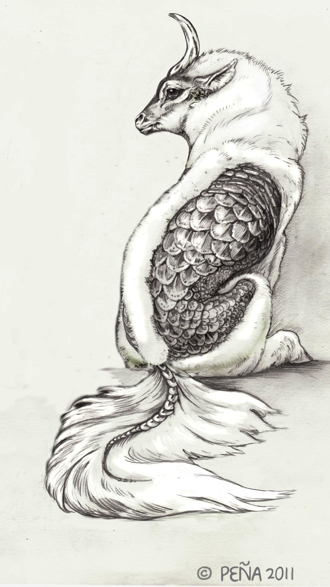 1126x2000 Unicorn Drawing, Pencil, Sketch, Colorful, Realistic Art Images - Unicorn Pencil Sketch