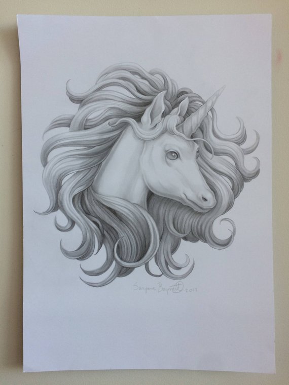 570x760 Unicorn Pencil Drawing A3 Etsy - Unicorn Pencil Sketch