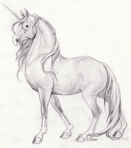449x506 Unicorn Sketch Unicorn Sketch By Lunatteo Things To Draw - Unicorn Pencil Sketch