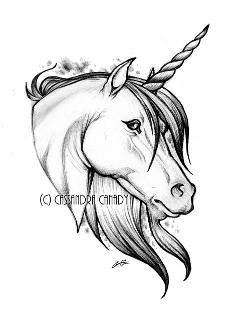493x620 Unicorn Tat By Pencil Chewer Art - Unicorn Pencil Sketch