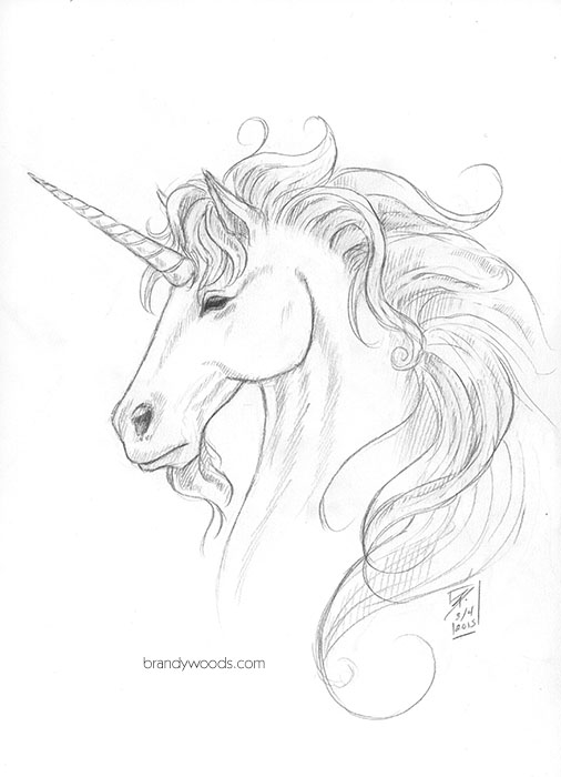 506x700 Unicorn Sketch By Brandywoods - Unicorn Sketch