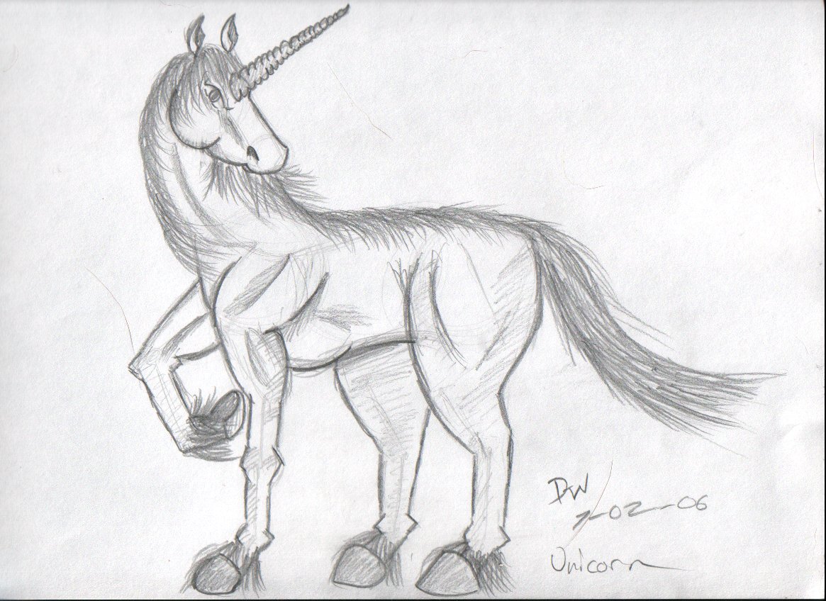 1165x848 Unicorn Sketch - Unicorn Sketch