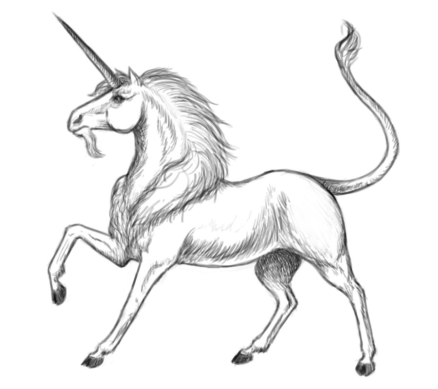 900x799 Unicorn Sketch (Wip) By Seigneurnazgul - Unicorn Sketch