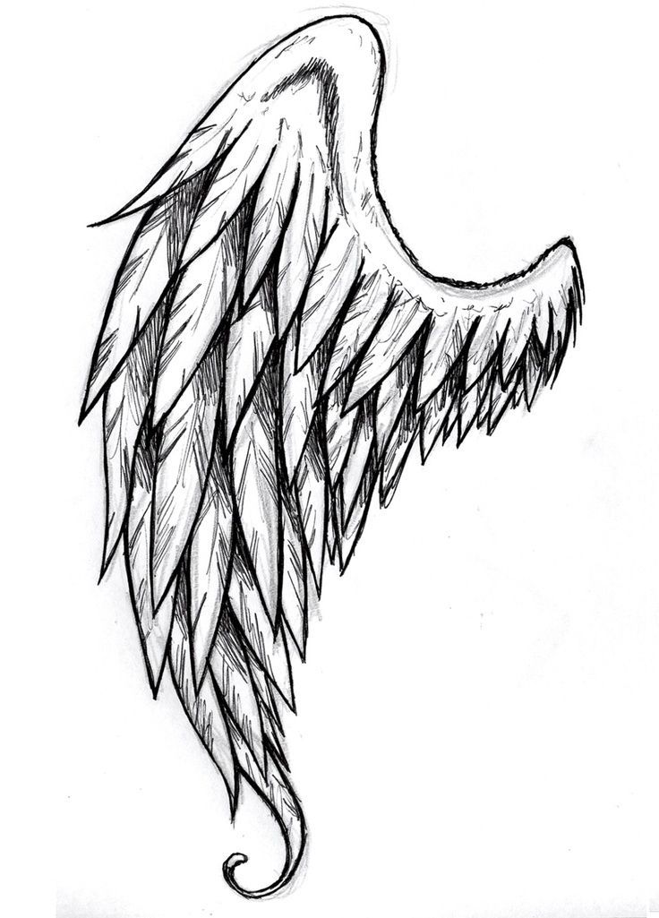 736x1025 Drawn Wings Unique - Unique Sketch Ideas