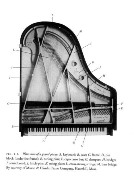 467x648 The Evolution Of The Modern Piano (Facts, Photos And Timeline - Upright Piano Sketch