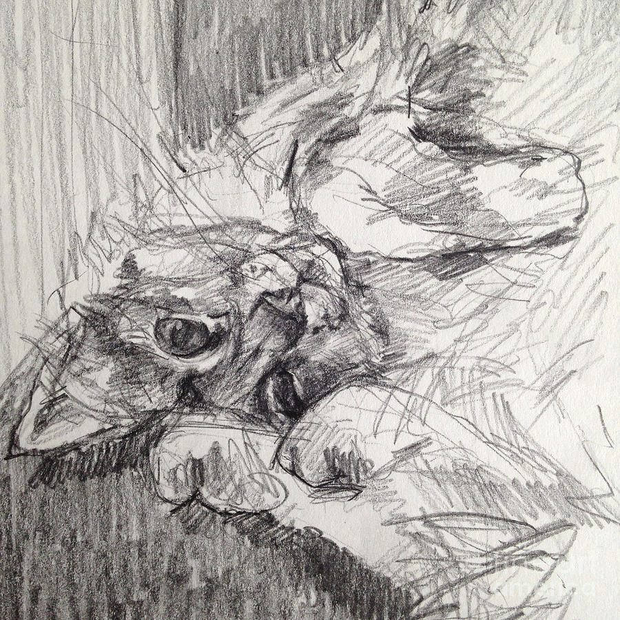 900x900 Tim Upside Down Drawing By Janneke Knispel - Upside Down Sketch