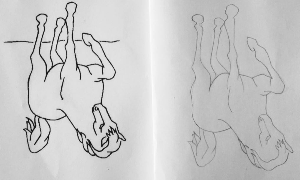 1017x611 Upside Down Drawing Exercise Step By Step Demonstration - Upside Down Sketch
