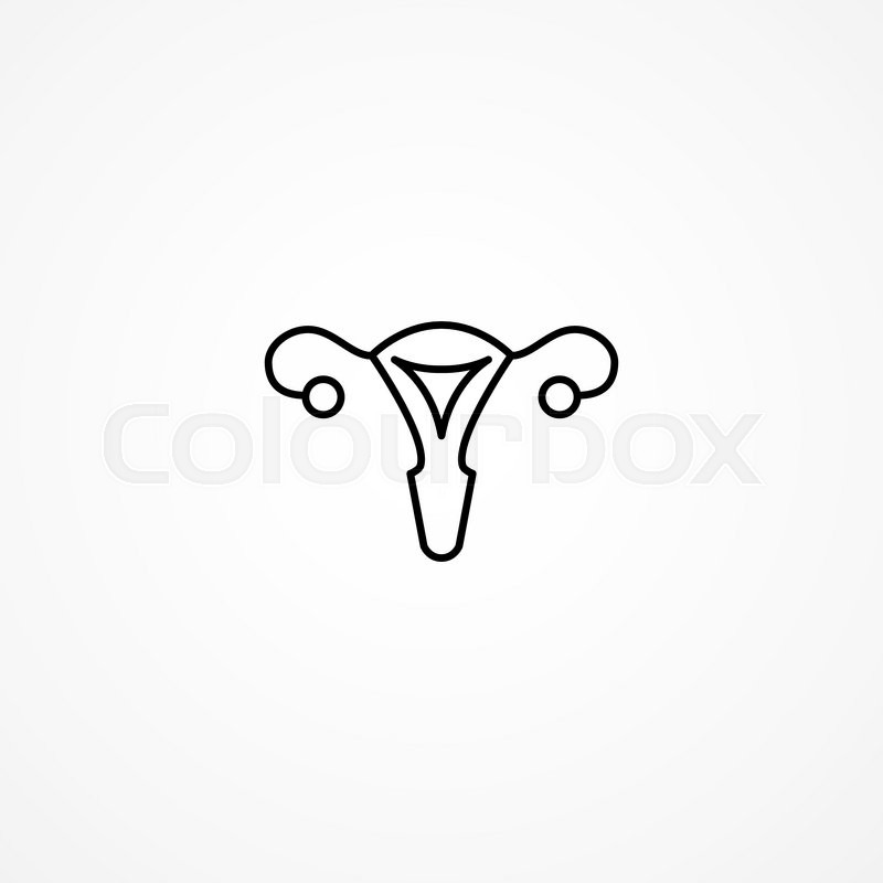 800x800 Vector Uterus Outline Healthcare Gynecology Icon Design Stock - Uterus Sketch