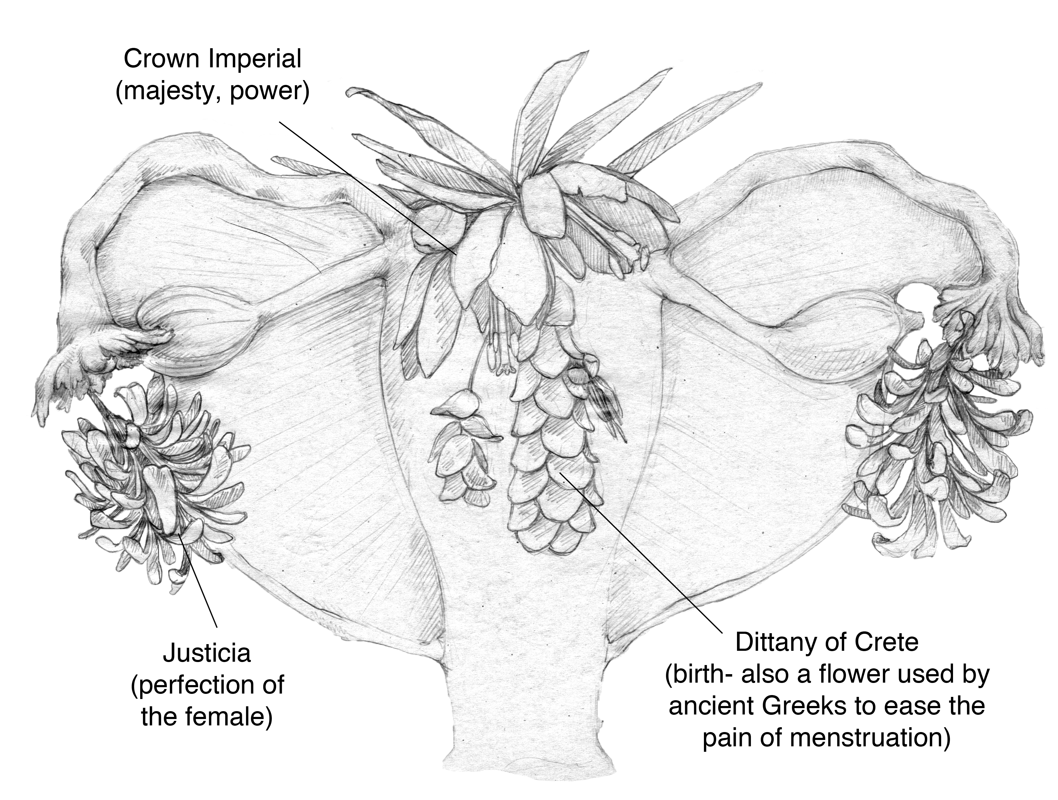 3487x2638 Admin Meagan Segal - Uterus Sketch