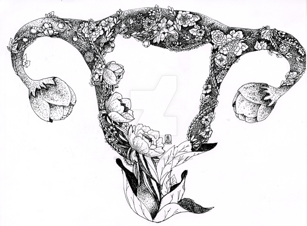 Uterus Sketch At Explore Collection Of Uterus Sketch