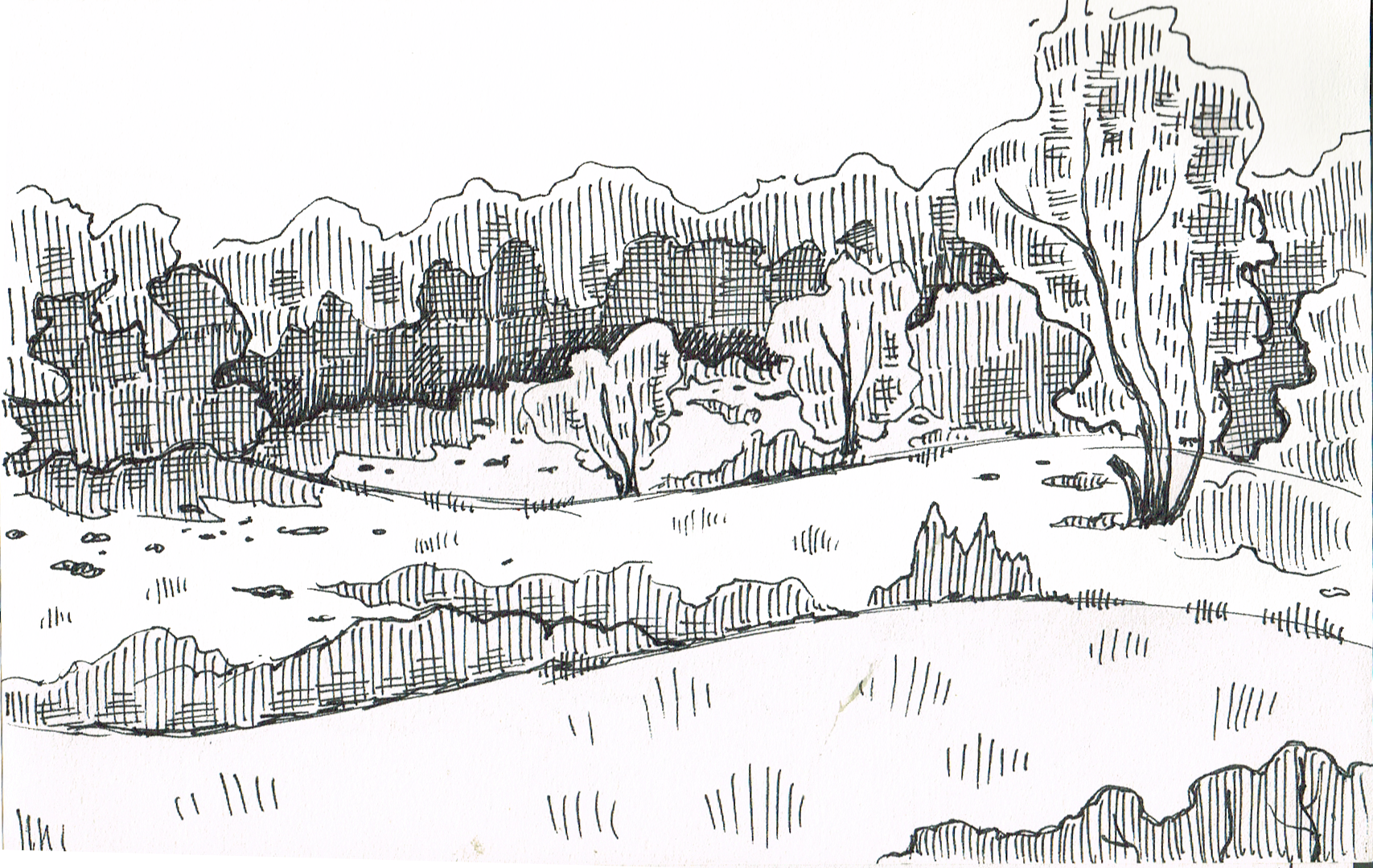 1707x1079 Sketches Brad Pattullo - Valley Sketch