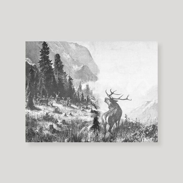 600x600 Deer In The Valley Sketch Art, Vintage Deer Art Prints Anewall - Valley Sketch