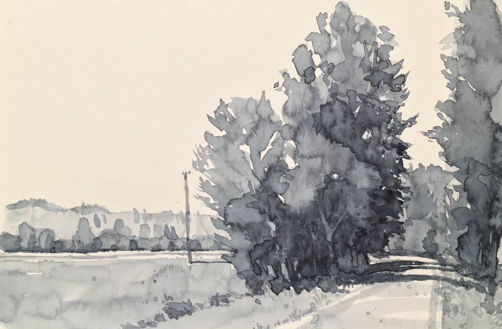 1024x671 Value Sketch Along The Dykes In Pitt Meadows, Bc, Canada - Value Sketch