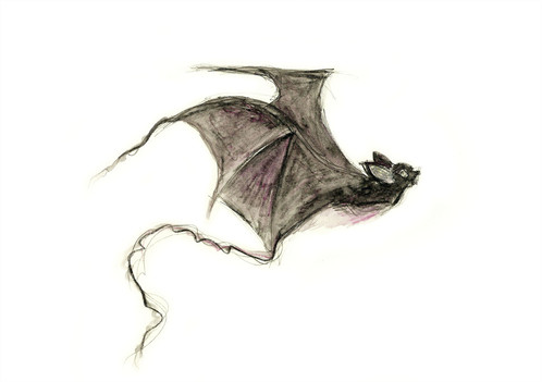 498x351 Vampire Bat Print Morvenna Unique Scottish Artwork - Vampire Bat Sketch