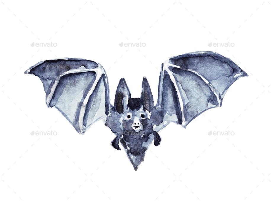 916x680 Vampire Bats (Watercolor And Ink, Vector And Raster) By Khalaziy - Vampire Bat Sketch