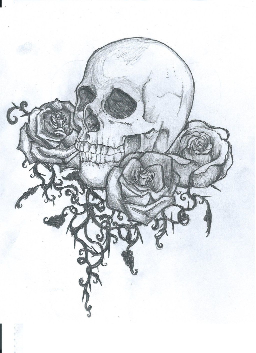 1024x1411 Images Skull Vampire Couleur Rose Imagecouleur.website - Vampire Skull Sketch