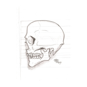 300x300 Vampire Skull Drawing By Jeffrey Oleniacz - Vampire Skull Sketch
