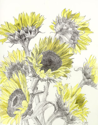314x400 Making A Mark Flowers In Art Van Gogh - Van Gogh Sunflower Sketch