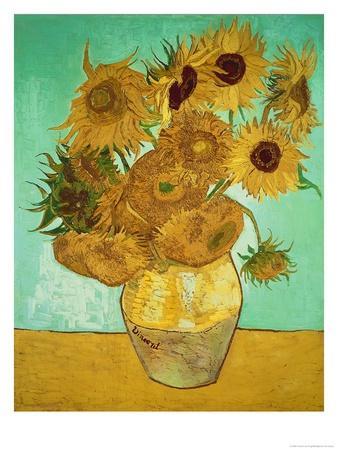 338x450 Sunflowers, C.1888 Giclee Print By Vincent Van Gogh - Van Gogh Sunflower Sketch