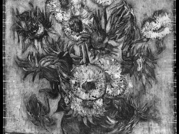 630x472 Vincent Van Gogh The Sunflowers Art In London - Van Gogh Sunflower Sketch