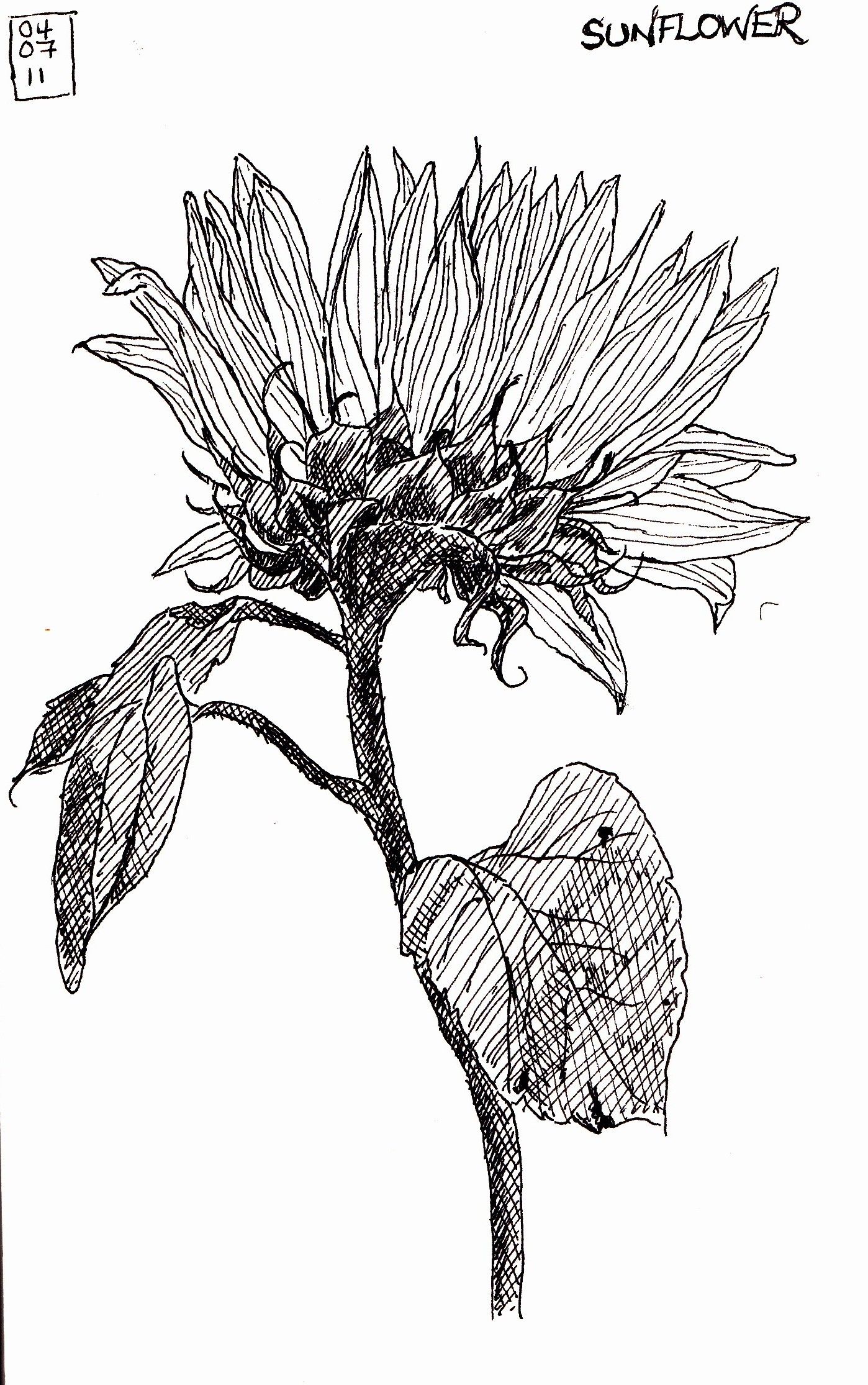1398x2230 Van Gogh Sunflower Coloring Pages - Van Gogh Sunflowers Sketch