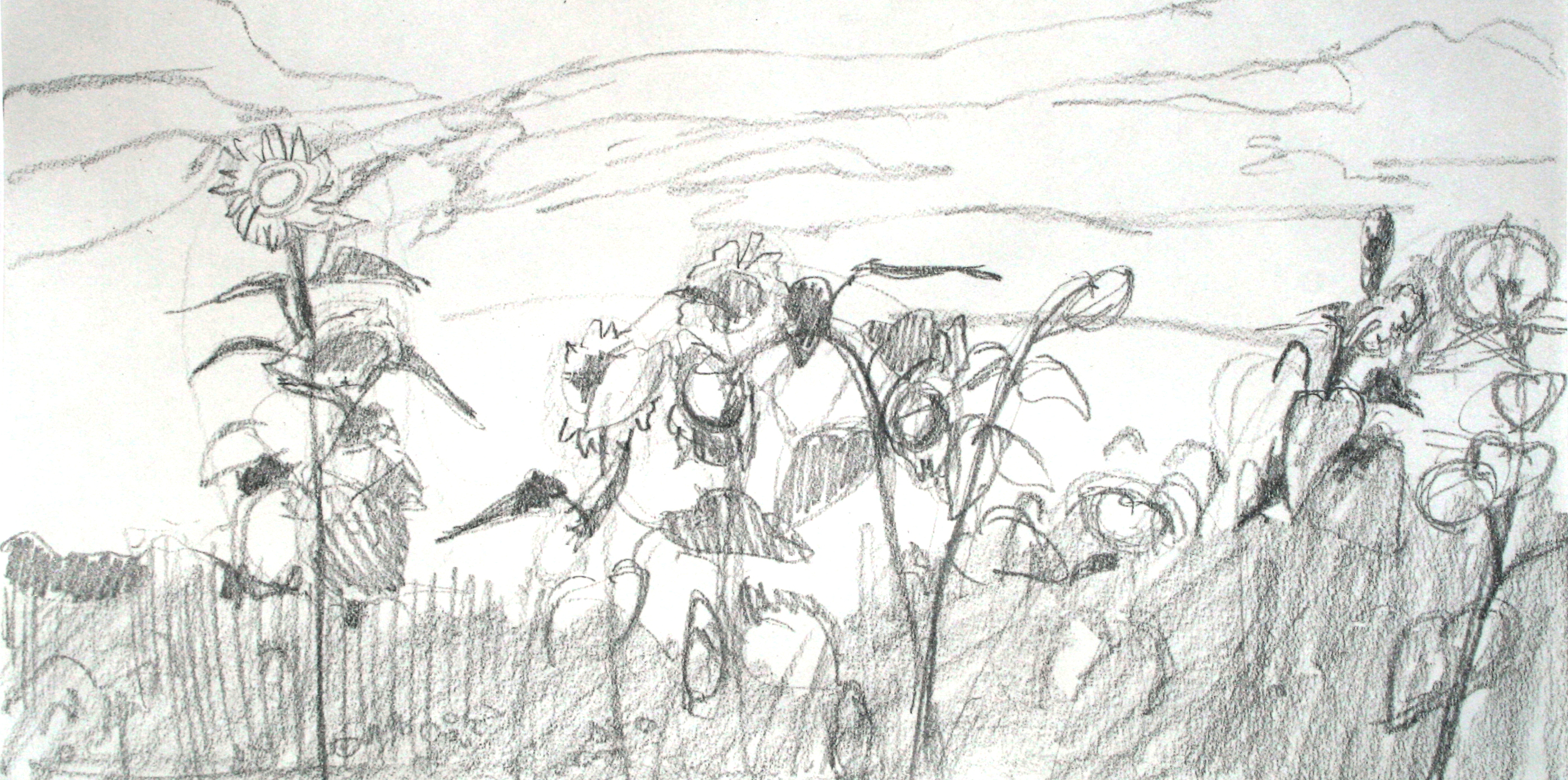 2793x1389 Frank Laux Abby Laux - Van Gogh Sunflowers Sketch