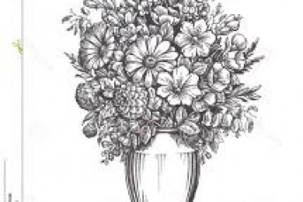 343x228 Pencil Drawings Of Flowers In A Vase - Vase Sketch