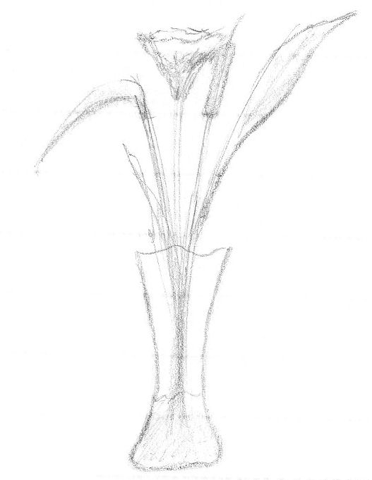 527x681 Flower Vase Sketch By Mysticaldreams18 - Vase Sketch