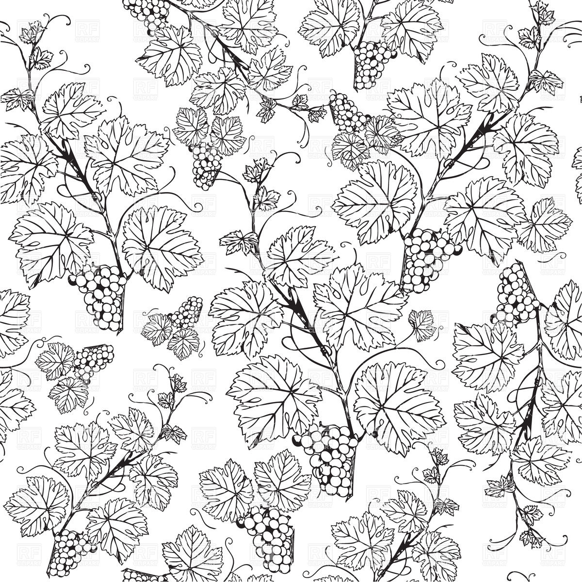 1200x1200 Grape Vine Sketch Pattern Vector Image Vector Artwork Of Plants - Vector Art Sketch