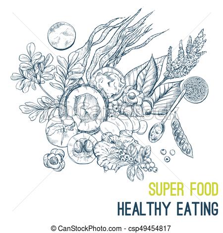 450x470 Superfood Poster, Hand Drawn Vector Sketch Illustration. Vegan - Vegan Sketch