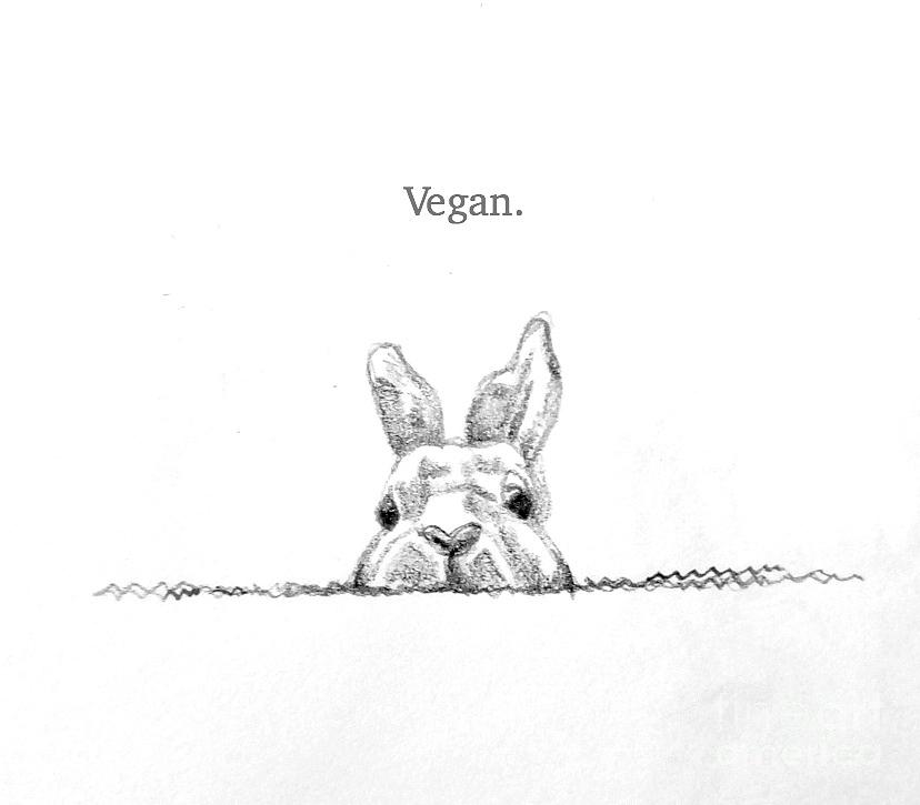 828x725 Vegan Bunny Drawing By Susan Paquette - Vegan Sketch